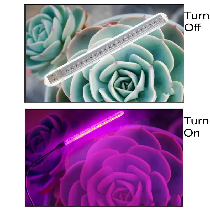 10W Led Grow Light USB Portable LED Plant Grow Light DC5V Full Spectrum Phyto Lamp 21 leds Rotation Flexible Light Indoor