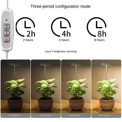 Full Spectrum LED Grow Light Grow Lamp Indoor Hydroponic Plant LED Plant Grow Light Phyto Lamp USB Phytolamp For Seedling Flower