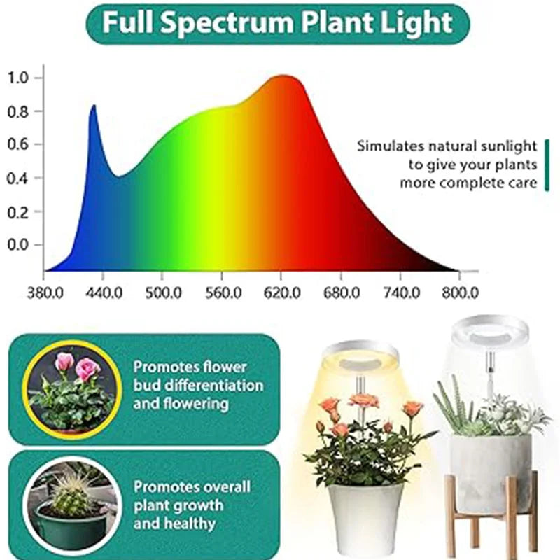 Full Spectrum LED Grow Light Grow Lamp Indoor Hydroponic Plant LED Plant Grow Light Phyto Lamp USB Phytolamp For Seedling Flower