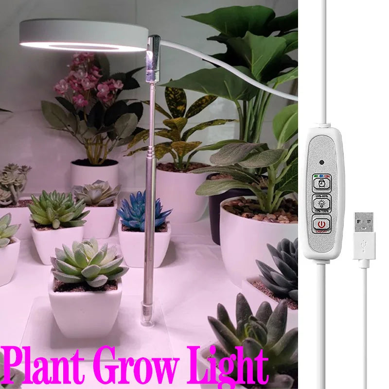 Full Spectrum LED Grow Light Grow Lamp Indoor Hydroponic Plant LED Plant Grow Light Phyto Lamp USB Phytolamp For Seedling Flower