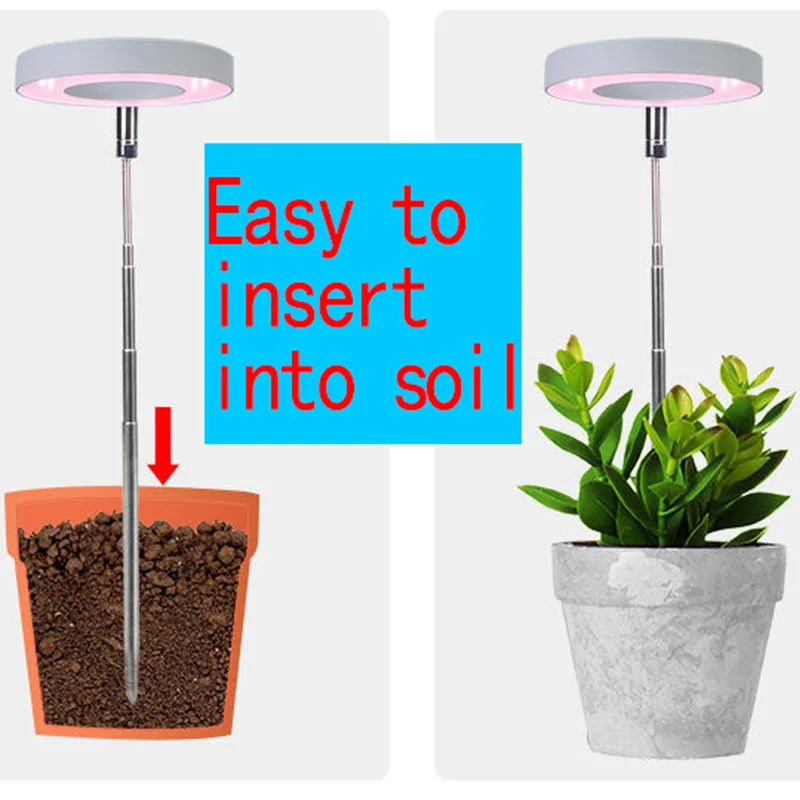 Full Spectrum LED Grow Light Grow Lamp Indoor Hydroponic Plant LED Plant Grow Light Phyto Lamp USB Phytolamp For Seedling Flower