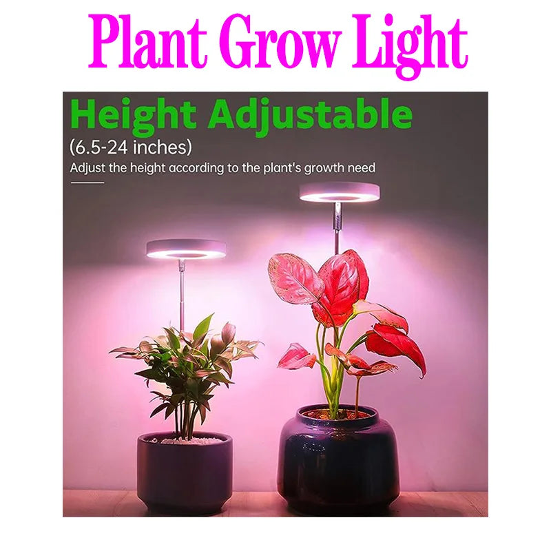 Full Spectrum LED Grow Light Grow Lamp Indoor Hydroponic Plant LED Plant Grow Light Phyto Lamp USB Phytolamp For Seedling Flower