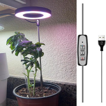 Full Spectrum LED Grow Light Grow Lamp Indoor Hydroponic Plant LED Plant Grow Light Phyto Lamp USB Phytolamp For Seedling Flower