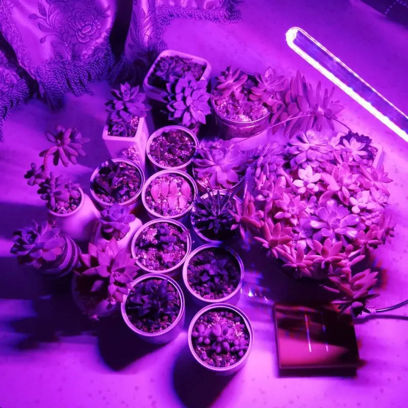 10W Led Grow Light USB Portable LED Plant Grow Light DC5V Full Spectrum Phyto Lamp 21 leds Rotation Flexible Light Indoor