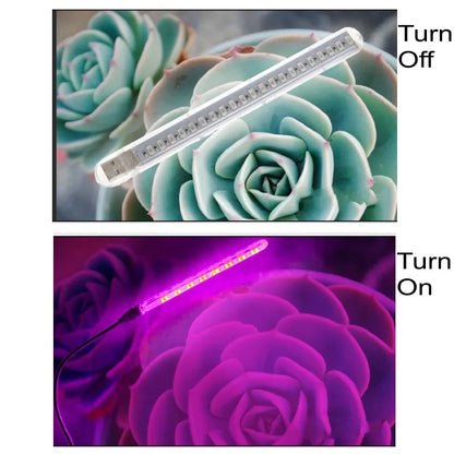 10W Led Grow Light USB Portable LED Plant Grow Light DC5V Full Spectrum Phyto Lamp 21 leds Rotation Flexible Light Indoor