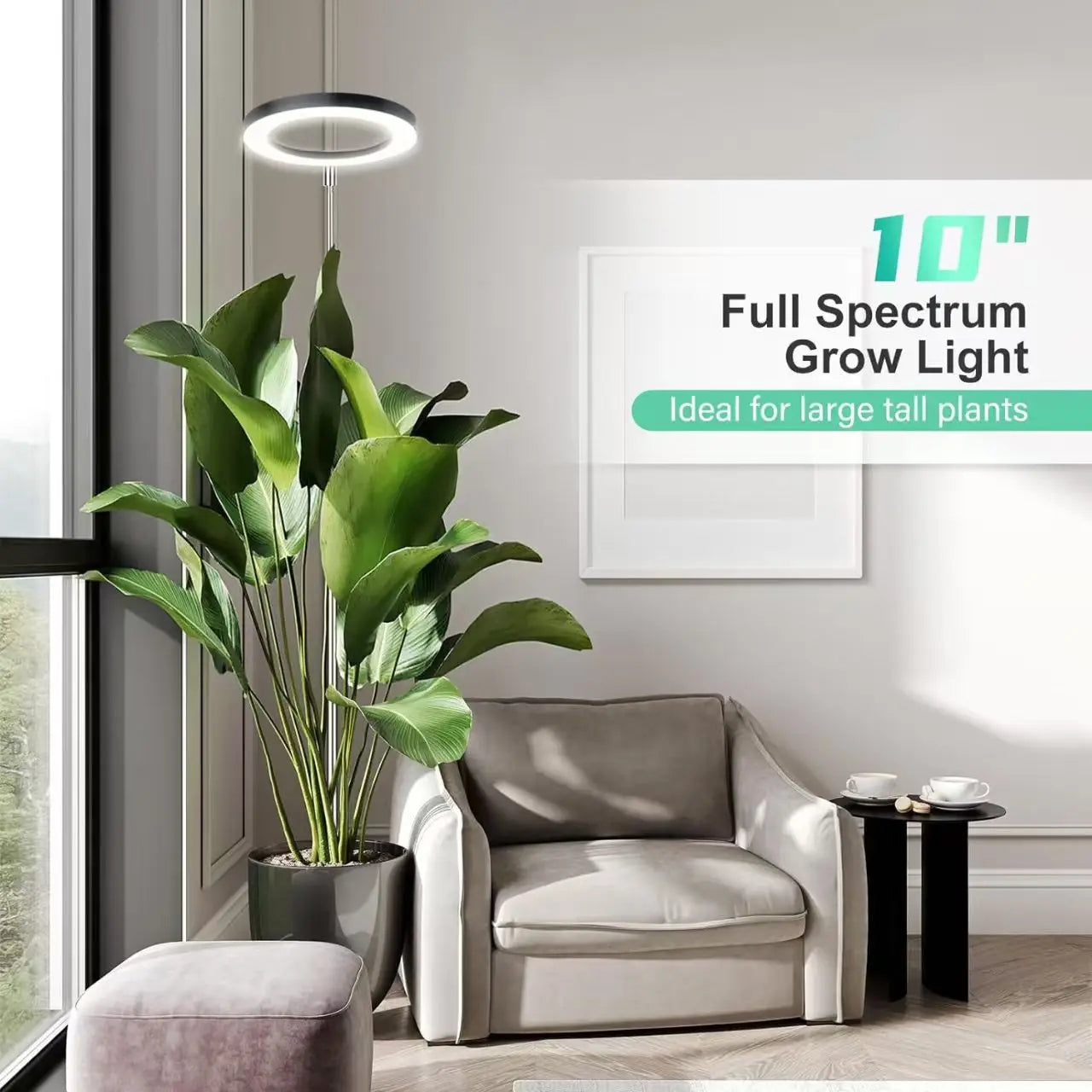 Full Spectrum LED Ring Grow Light with Warm White &amp; Red Light, Adjustable Height &amp;with Auto On Timer for Monstera &amp; Philodendron