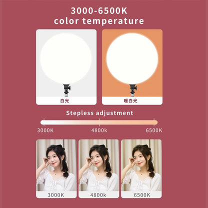 LED Photo Studio Light Video Lighting Recording Photography Panel Lamp &amp; Tripod Stand Remote For Youbute Game Live Phone Holder