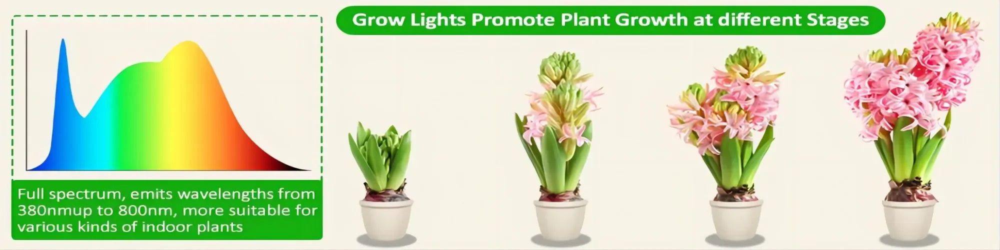 Full Spectrum LED Grow Light Grow Lamp Indoor Hydroponic Plant LED Plant Grow Light Phyto Lamp USB Phytolamp For Seedling Flower