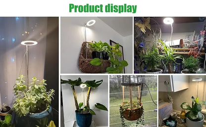 Full Spectrum LED Grow Light Grow Lamp Indoor Hydroponic Plant LED Plant Grow Light Phyto Lamp USB Phytolamp For Seedling Flower
