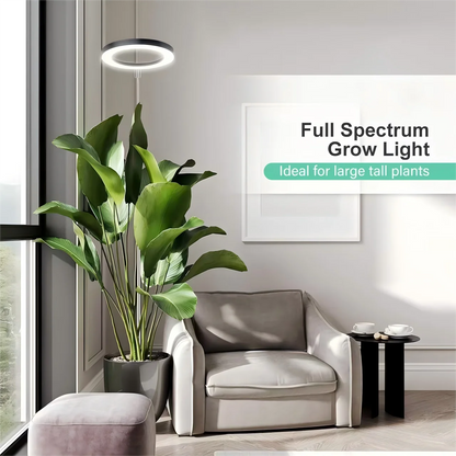 Full Spectrum LED Ring Grow Light with Warm White &amp; Red Light, Adjustable Height &amp;with Auto On Timer for Monstera &amp; Philodendron