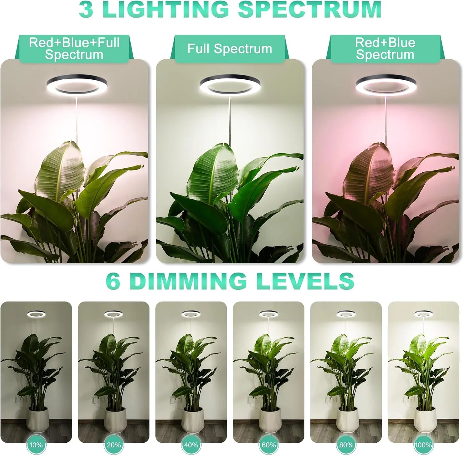 Full Spectrum LED Ring Grow Light with Warm White &amp; Red Light, Adjustable Height &amp;with Auto On Timer for Monstera &amp; Philodendron