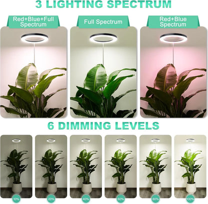 Full Spectrum LED Ring Grow Light with Warm White &amp; Red Light, Adjustable Height &amp;with Auto On Timer for Monstera &amp; Philodendron