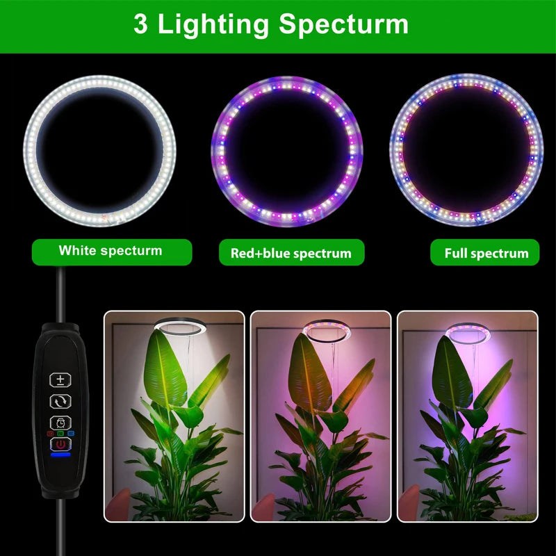 10" LED Ring Grow Lights for Indoor Plants Full Spectrum Large Plant Light for Indoor Plants Height Adjustable Growing Lamp