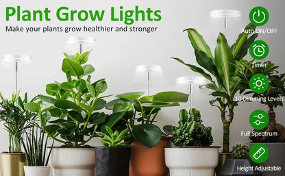 Full Spectrum LED Grow Light Grow Lamp Indoor Hydroponic Plant LED Plant Grow Light Phyto Lamp USB Phytolamp For Seedling Flower