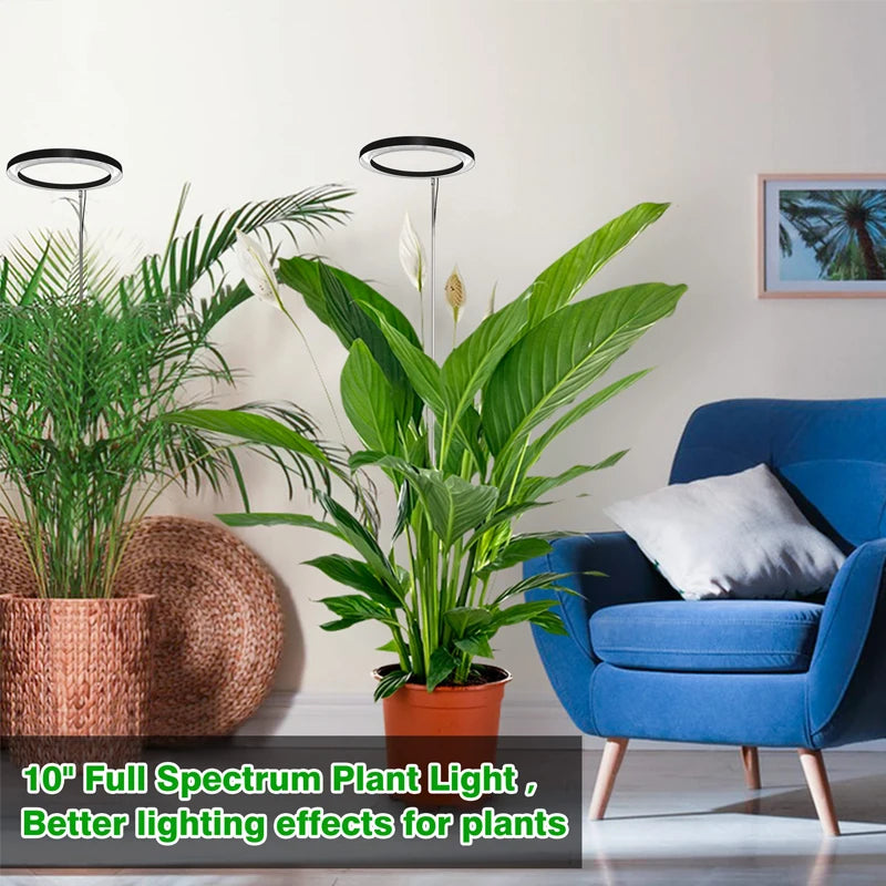 10" LED Ring Grow Lights for Indoor Plants Full Spectrum Large Plant Light for Indoor Plants Height Adjustable Growing Lamp