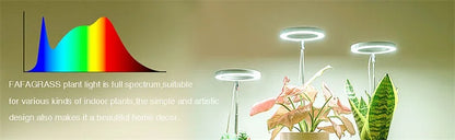 10" LED Ring Grow Lights for Indoor Plants Full Spectrum Large Plant Light for Indoor Plants Height Adjustable Growing Lamp