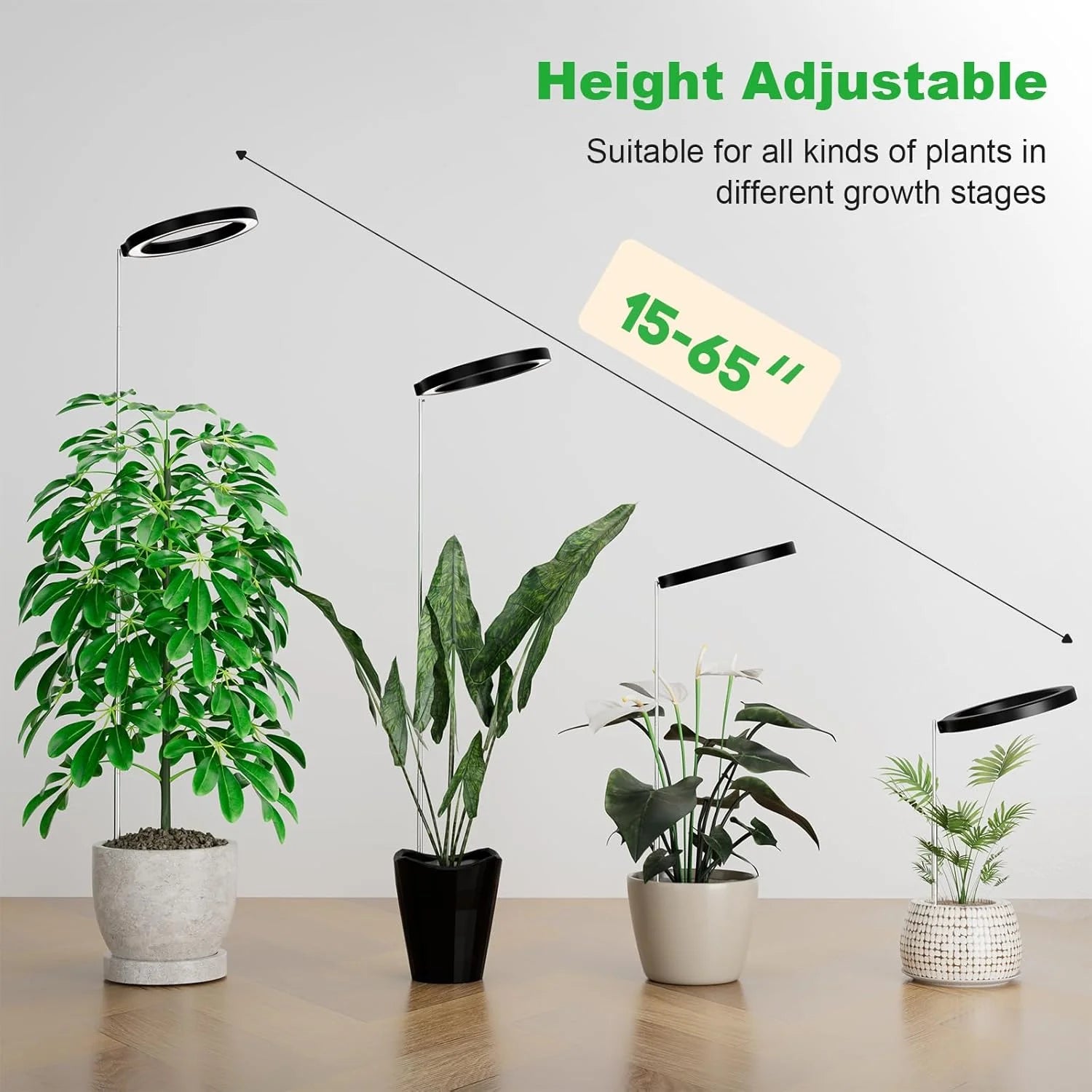 Full Spectrum LED Ring Grow Light with Warm White &amp; Red Light, Adjustable Height &amp;with Auto On Timer for Monstera &amp; Philodendron