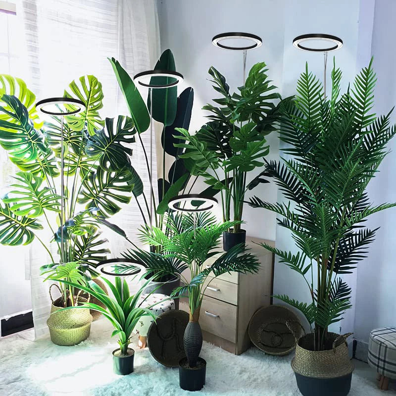 10" LED Ring Grow Lights for Indoor Plants Full Spectrum Large Plant Light for Indoor Plants Height Adjustable Growing Lamp