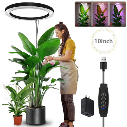 10" LED Ring Grow Lights for Indoor Plants Full Spectrum Large Plant Light for Indoor Plants Height Adjustable Growing Lamp