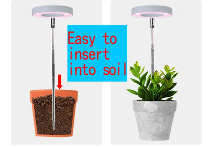 Full Spectrum LED Grow Light Grow Lamp Indoor Hydroponic Plant LED Plant Grow Light Phyto Lamp USB Phytolamp For Seedling Flower